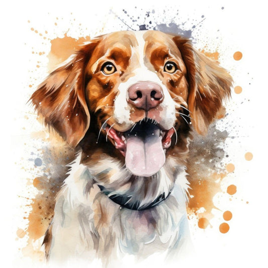 Brittany Spaniel Dog | Diamond Painting