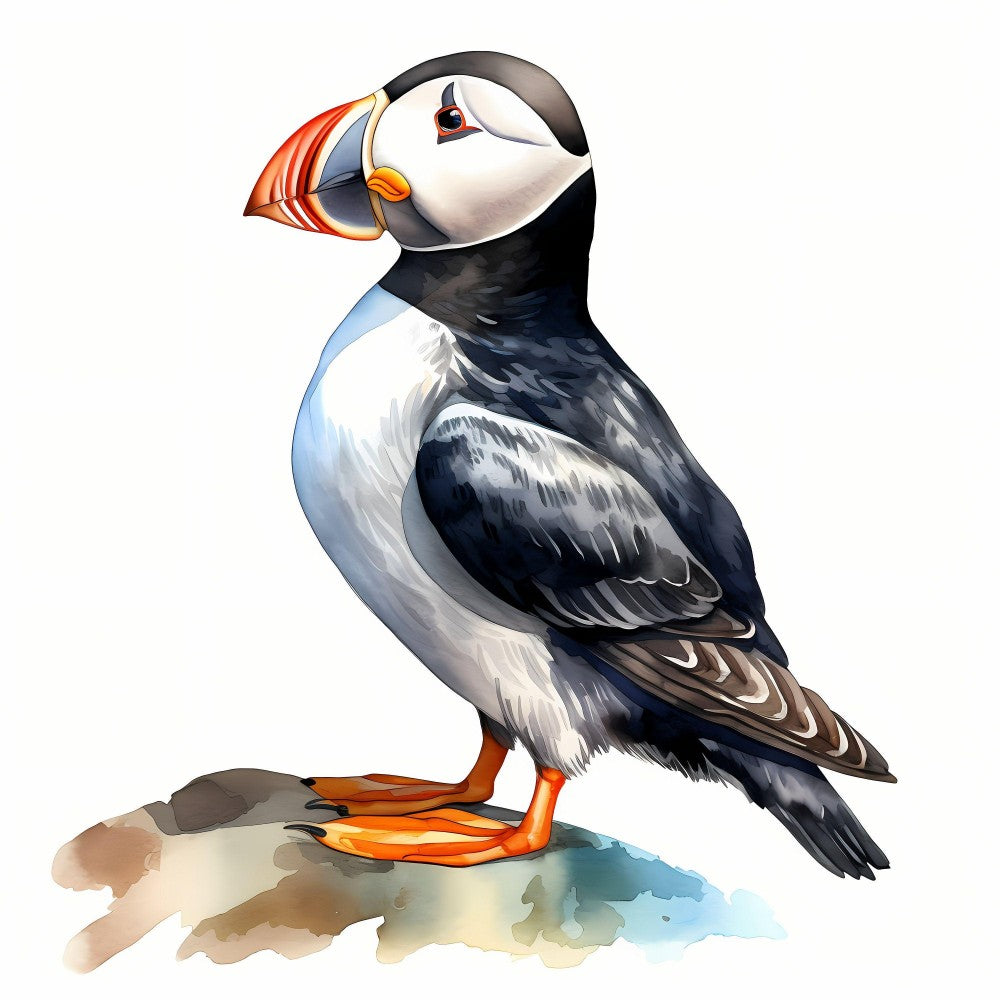 Puffin | Diamond Painting