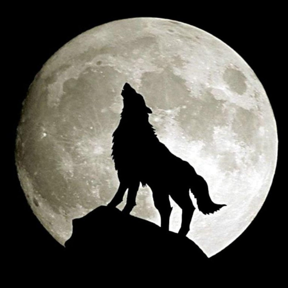 Wolf | Diamond Painting