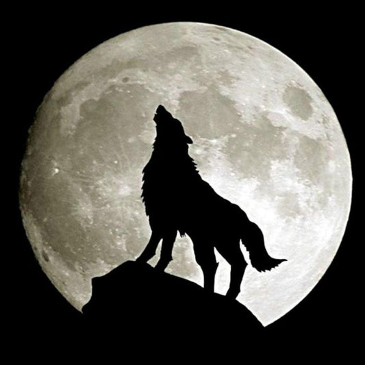 Wolf | Diamond Painting