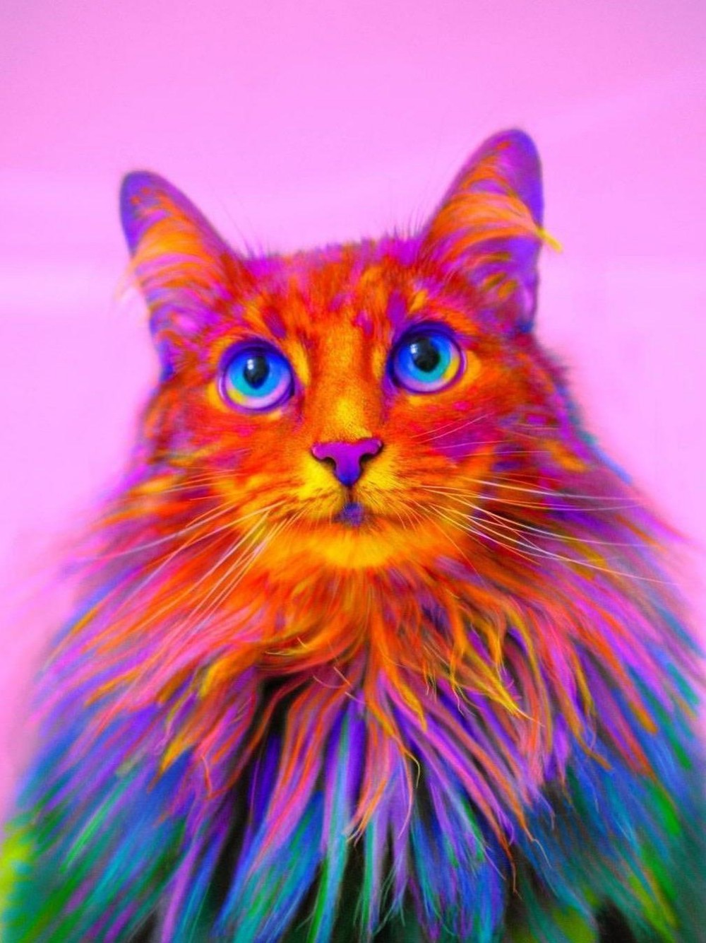 Colorful Cat | Diamond Painting