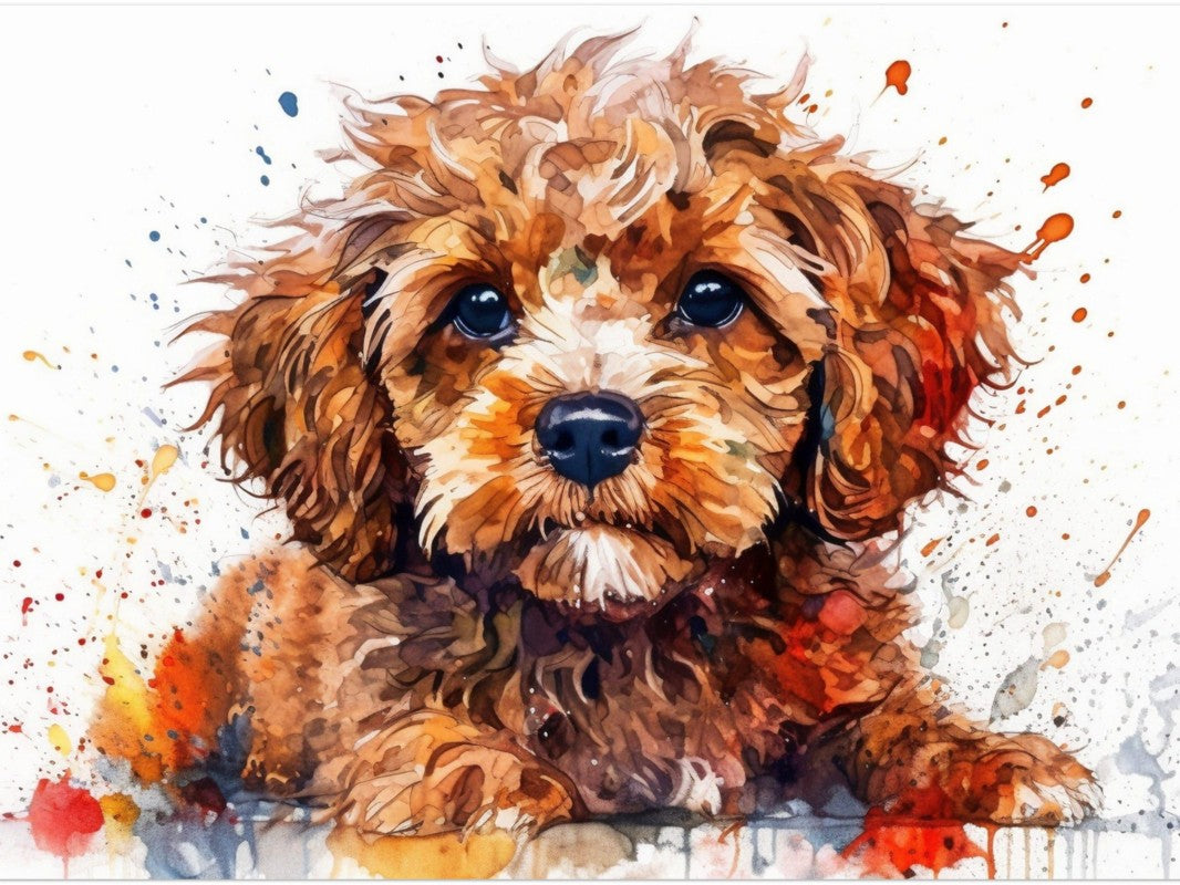 Cavapoo Dog | Diamond Painting