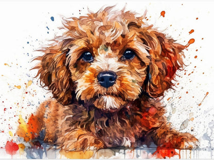 Cavapoo Dog | Diamond Painting