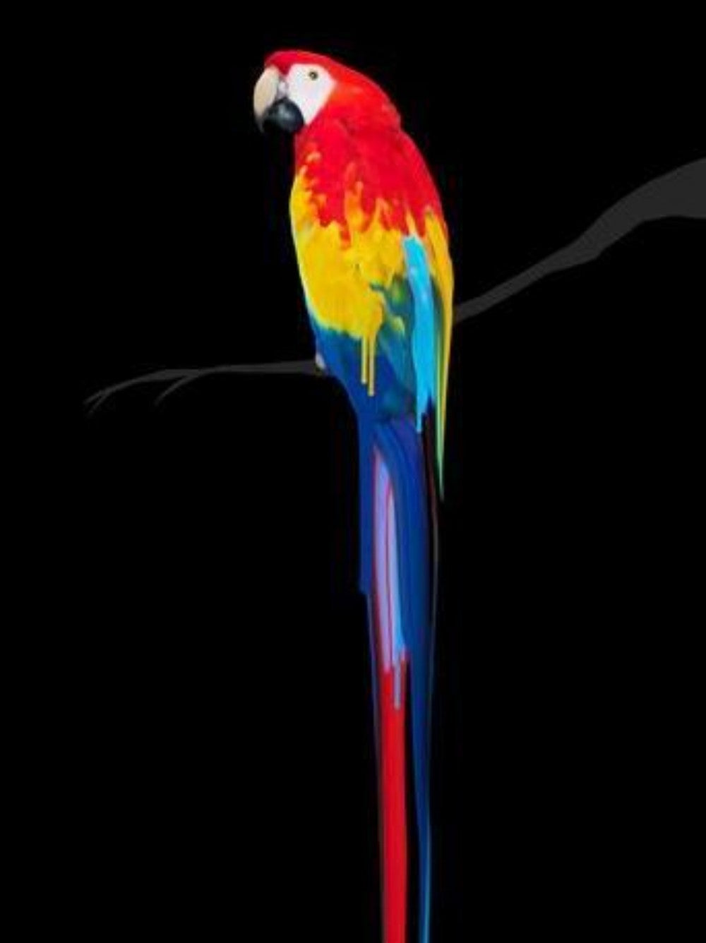 Macaw | Diamond Painting