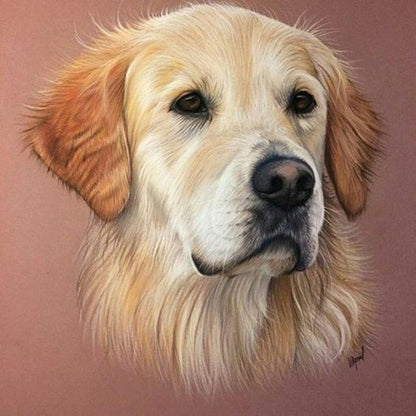 Golden Retriever Dog | Diamond Painting