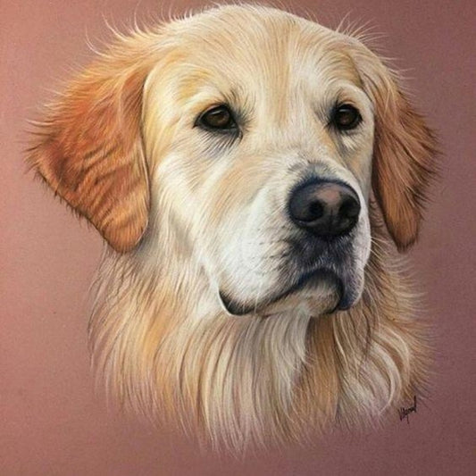 Golden Retriever Dog | Diamond Painting