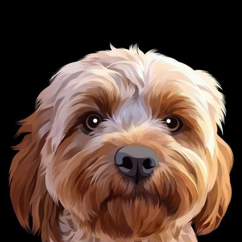 Cavapoo Dog | Diamond Painting