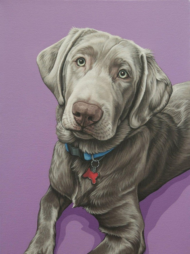 Weimaraner Dog | Diamond Painting