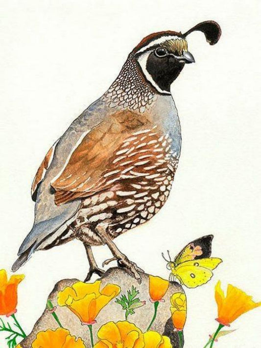 Quail | Diamond Painting