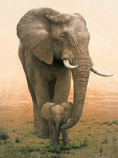 Elephant | Diamond Painting