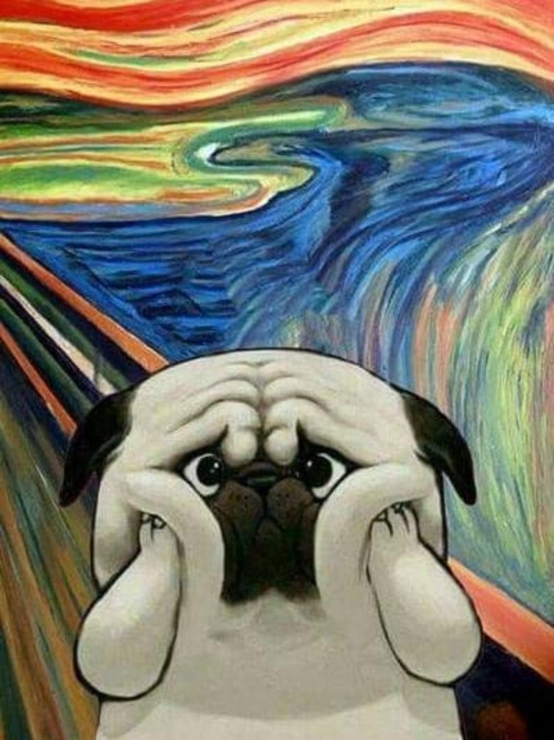 Dog Pug | Diamond Painting