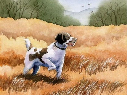 Brittany Spaniel Dog | Diamond Painting