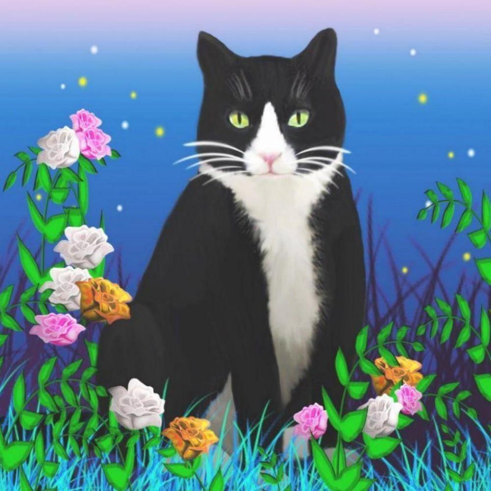 Tuxedo Cat  | Diamond Painting