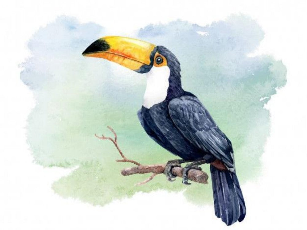 Toucan Bird | Diamond Painting