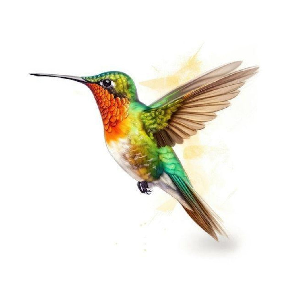 Hummingbird | Diamond Painting