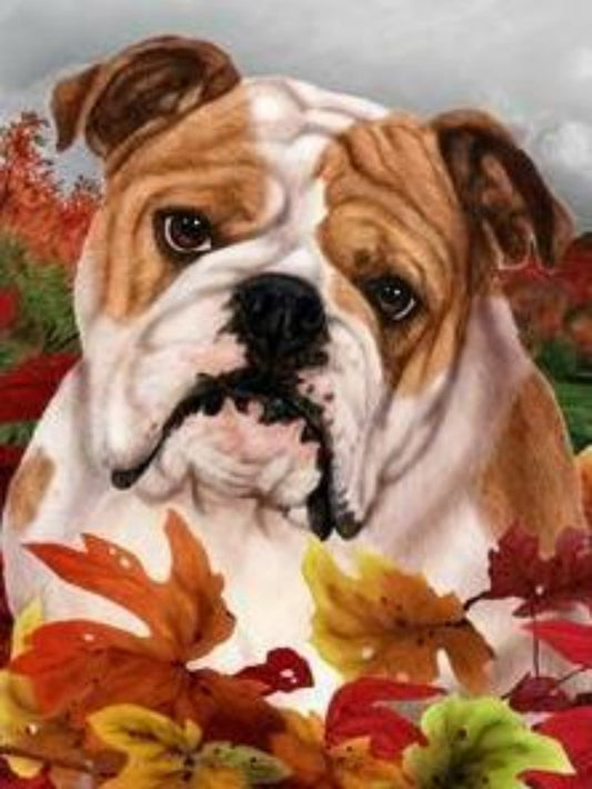 Dog English Bulldog | Diamond Painting