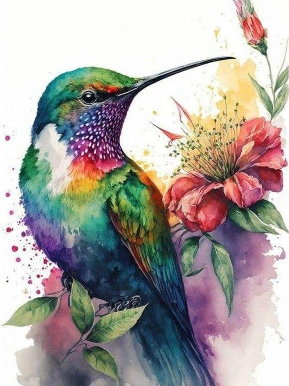 Hummingbird | Diamond Painting