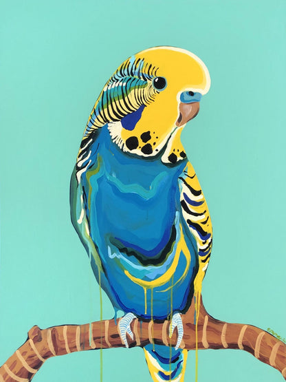 Budgie | Diamond Painting