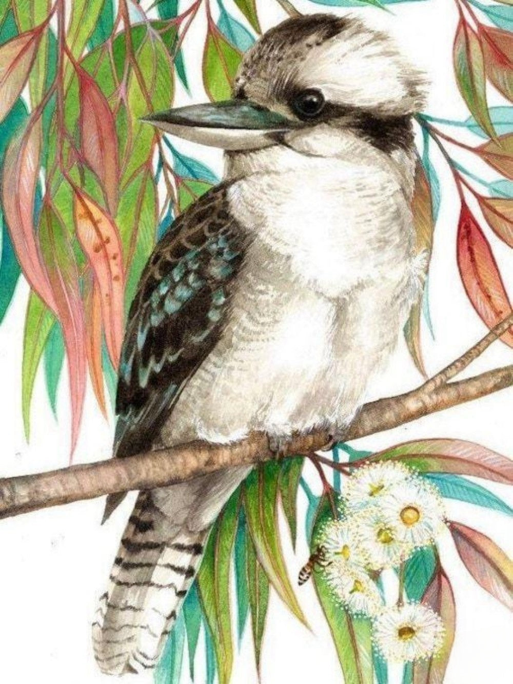 Kookaburra | Diamond Painting