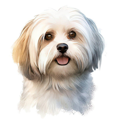 Havanese Dog | Diamond Painting