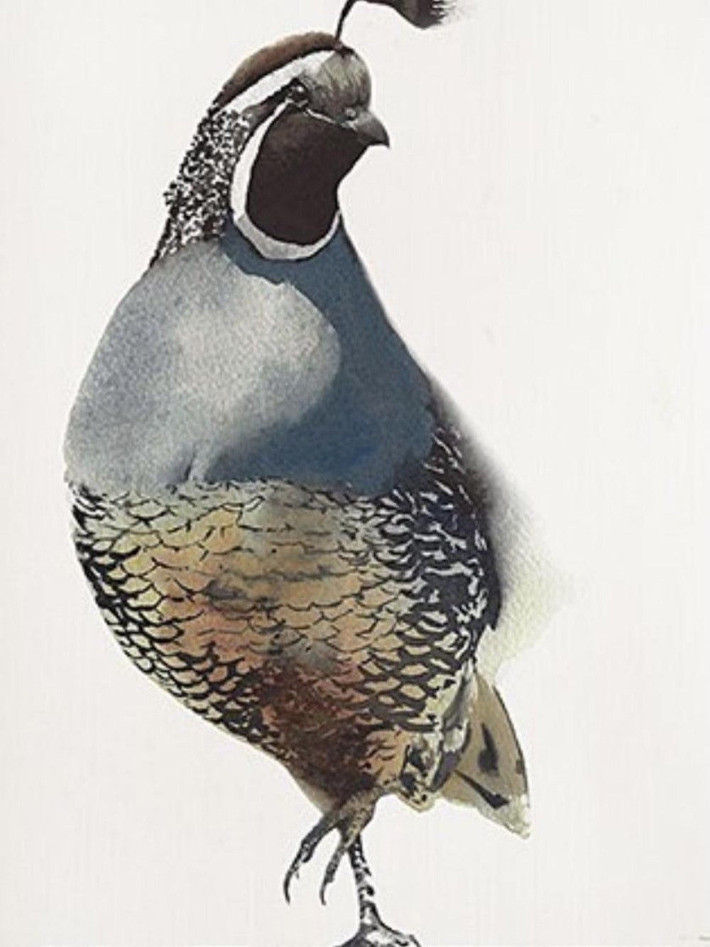 Quail | Diamond Painting