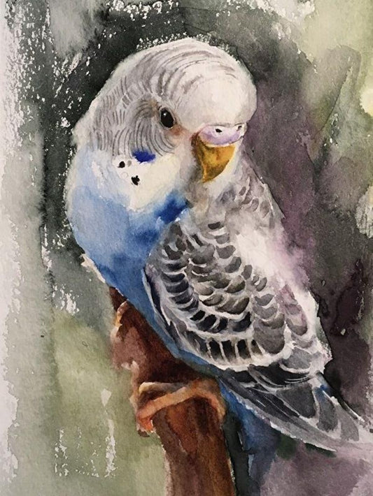 Budgie | Diamond Painting