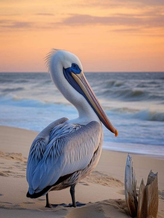 Pelican | Diamond Painting