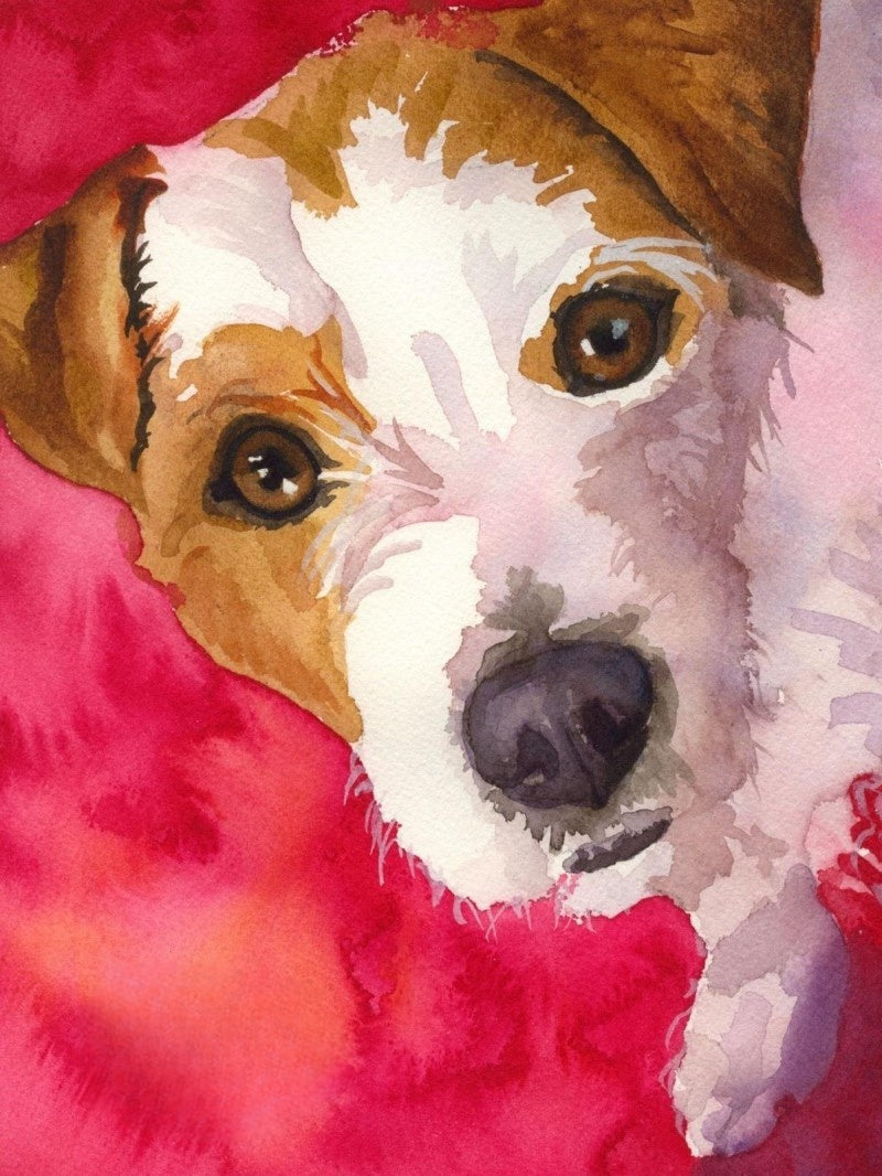 Dog Jack Russell | Diamond Painting