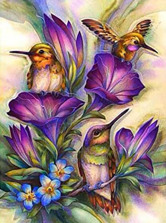 Hummingbird | Diamond Painting