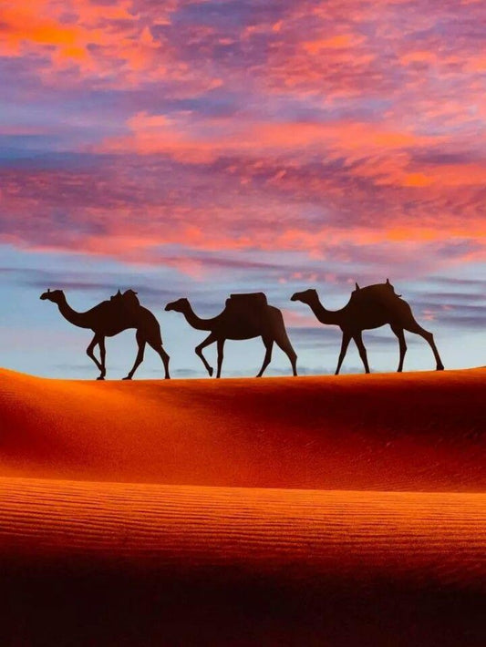 Camel | Diamond Painting