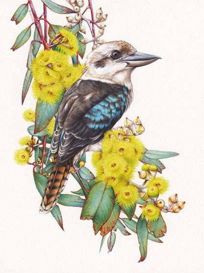 Kookaburra | Diamond Painting