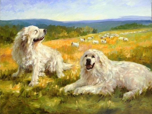 Great Pyrenees Dog | Diamond Painting