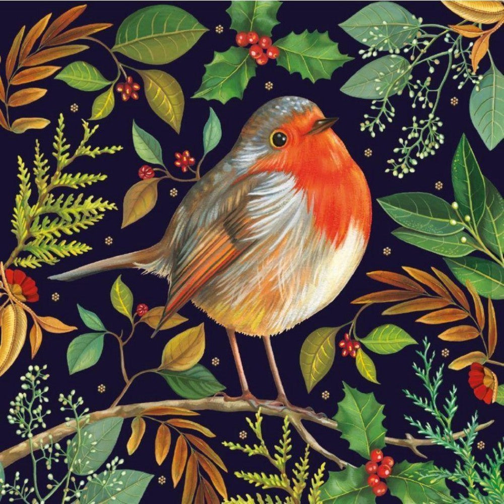 Robin Bird | Diamond Painting