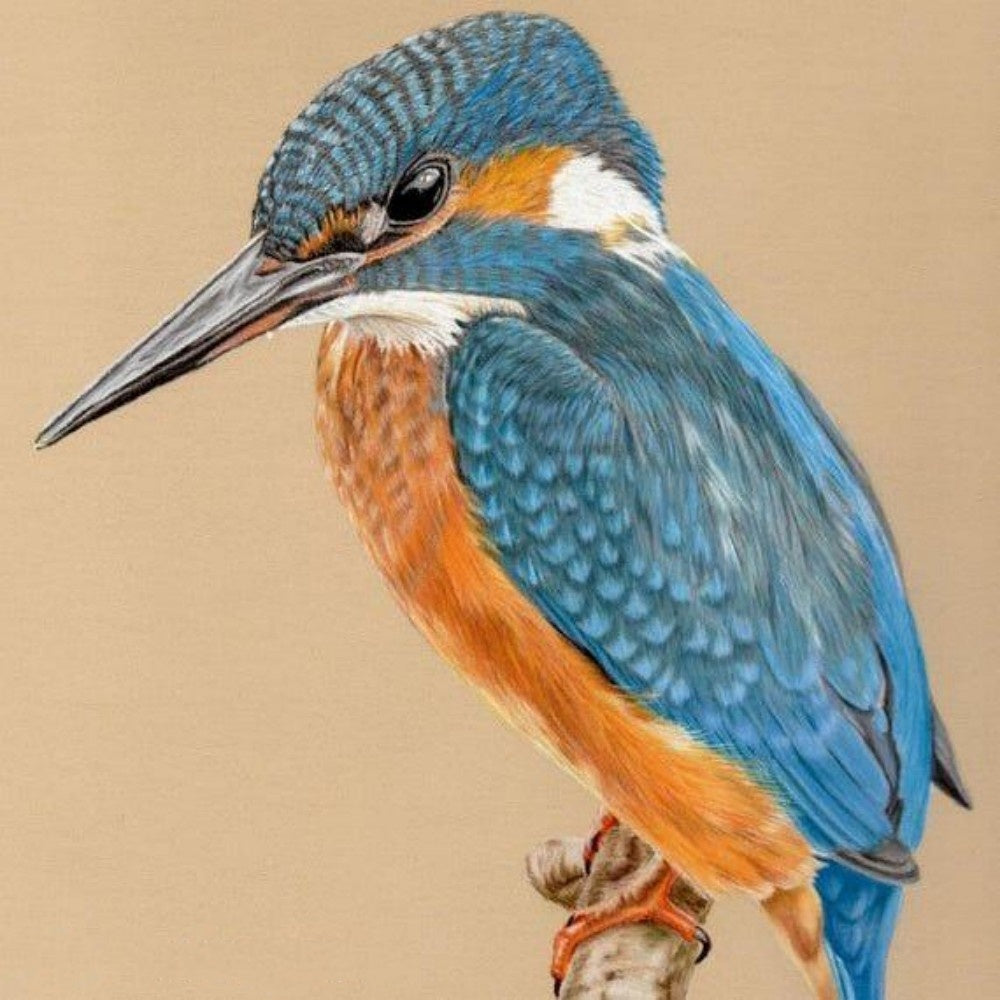 Kingfisher | Diamond Painting