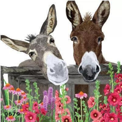 Donkey | Diamond Painting