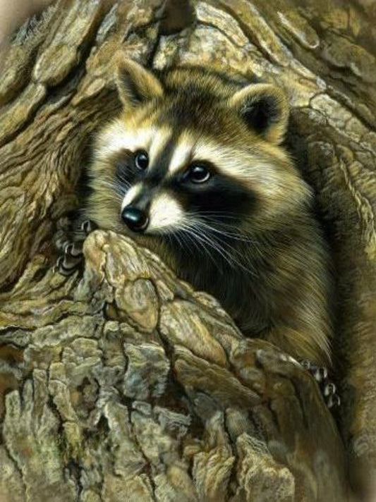 Raccoon | Diamond Painting