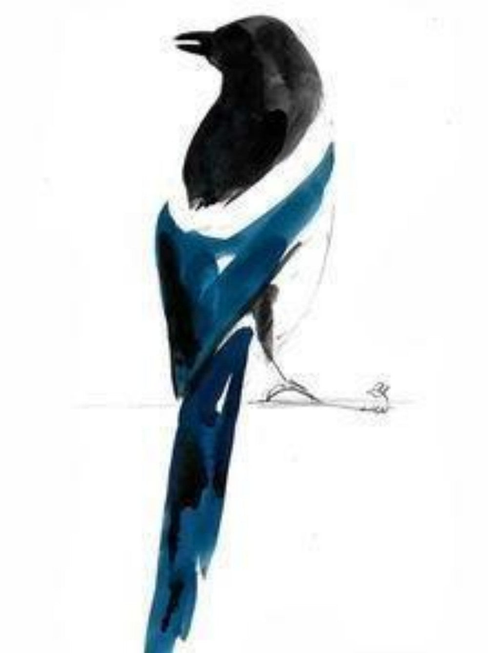 Magpie | Diamond Painting