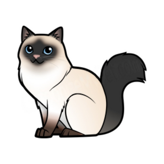 Ragdoll Cat | Diamond Painting