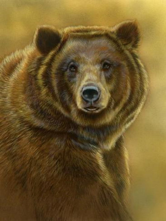 Brown Bear | Diamond Painting