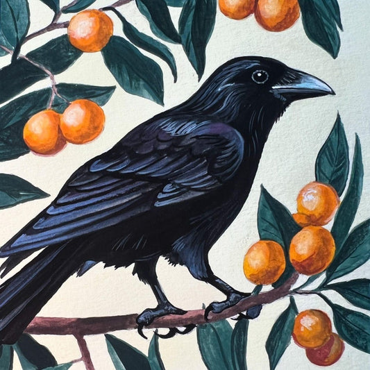 Crow | Diamond Painting