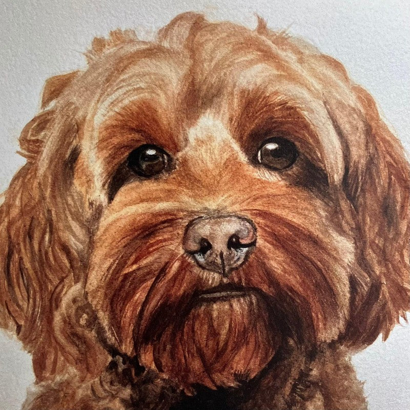 Cavapoo Dog | Diamond Painting