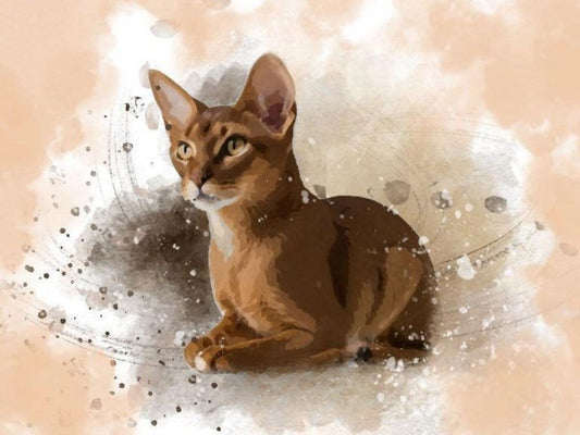Abyssinian Cat | Diamond Painting