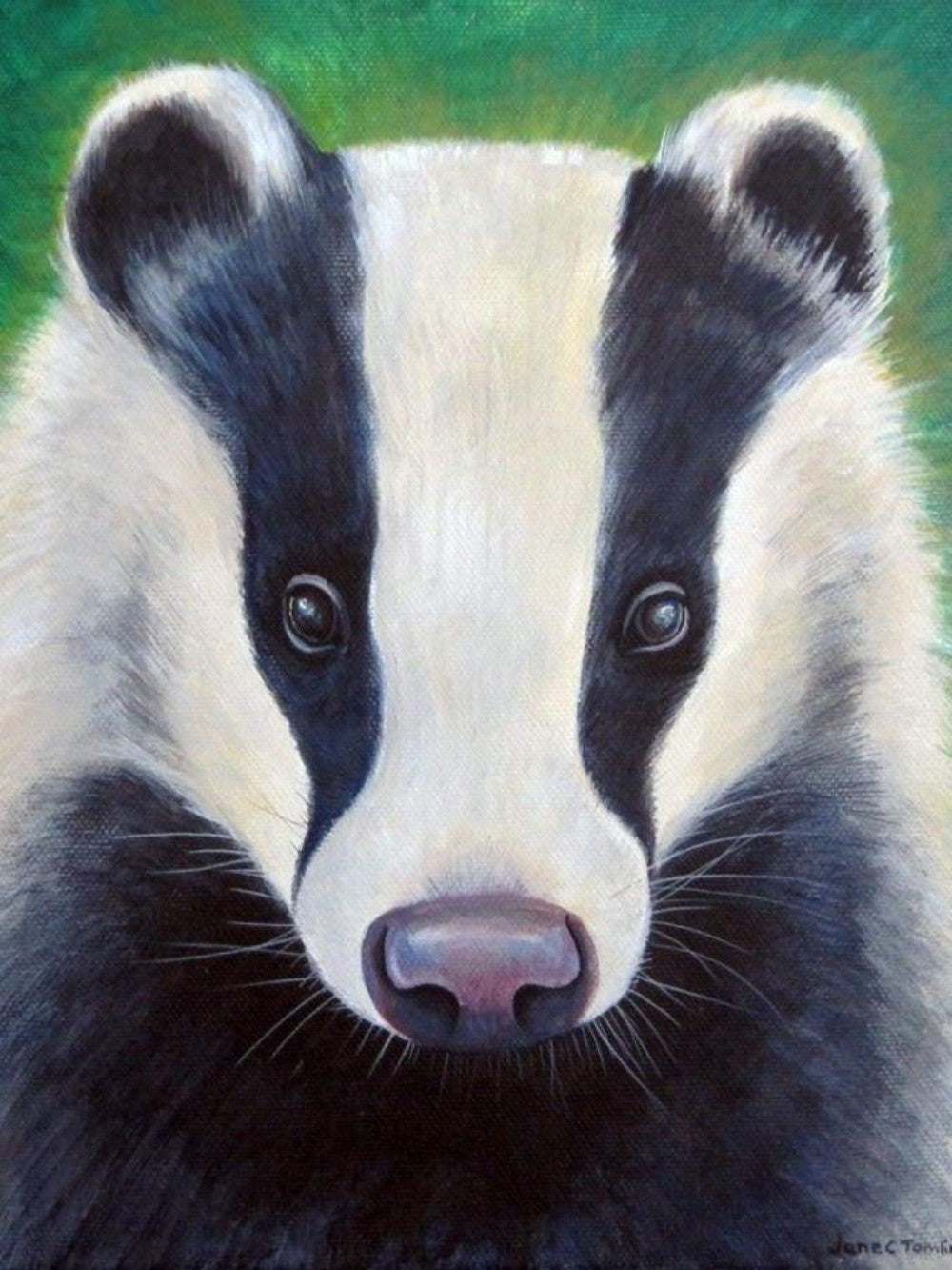 Badger | Diamond Painting
