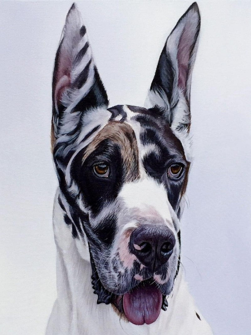 Dog Great Dane | Diamond Painting