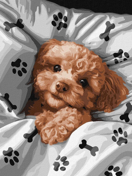 Poodle Dog | Diamond Painting