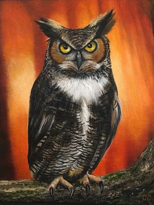 Owl | Diamond Painting