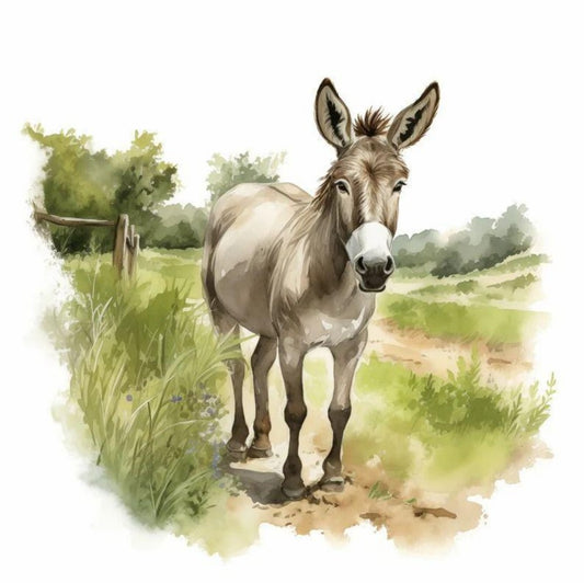 Donkey | Diamond Painting