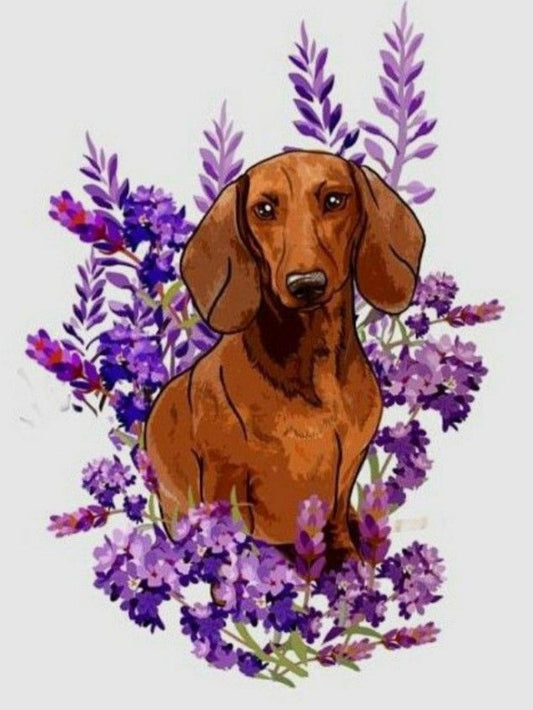 Dachshund Dog | Diamond Painting