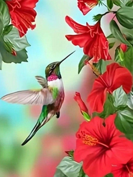 Hummingbird | Diamond Painting