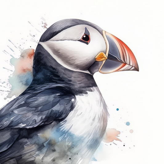 Puffin | Diamond Painting